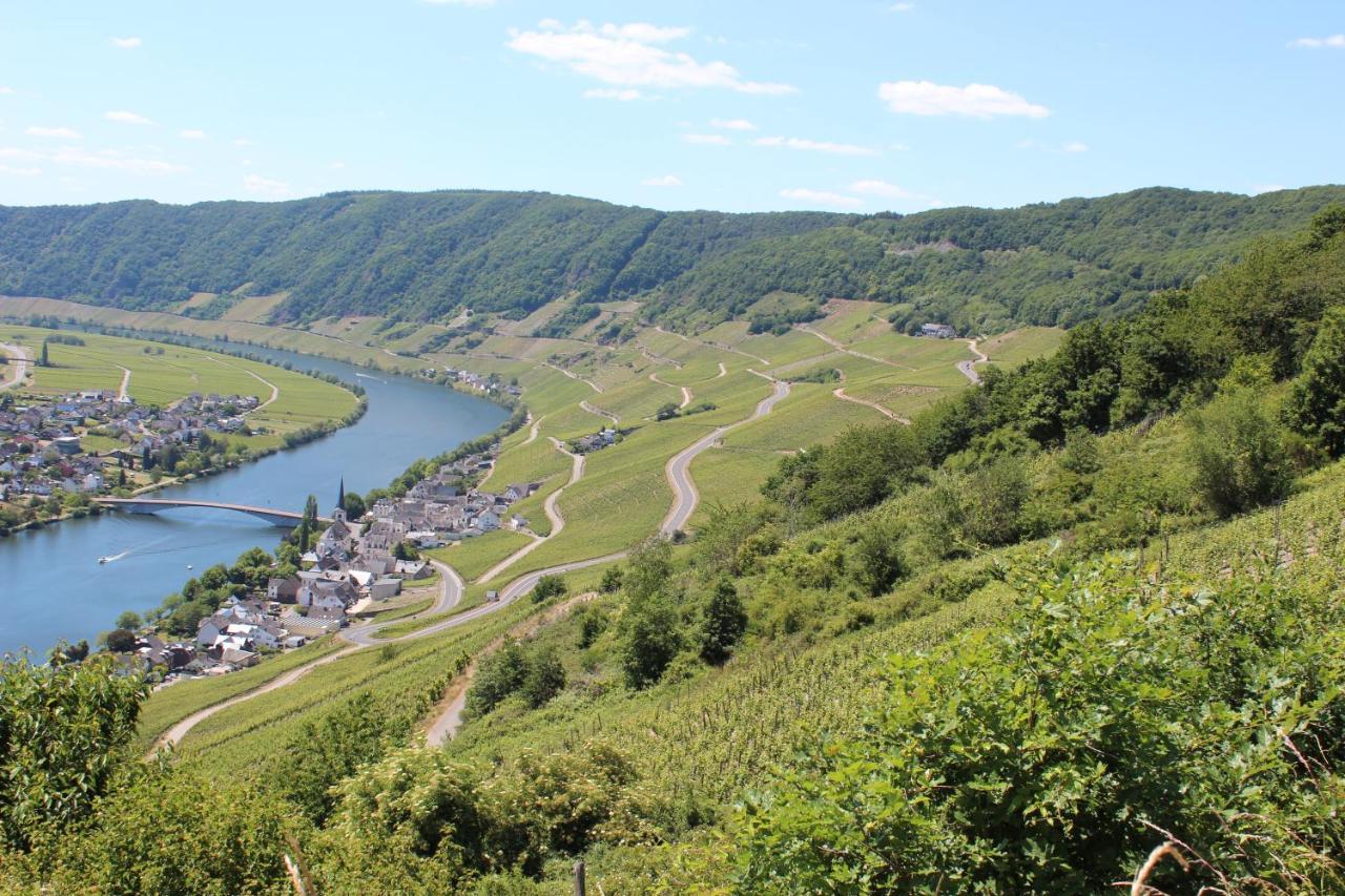 Fewogriebelschied Kültér fotó